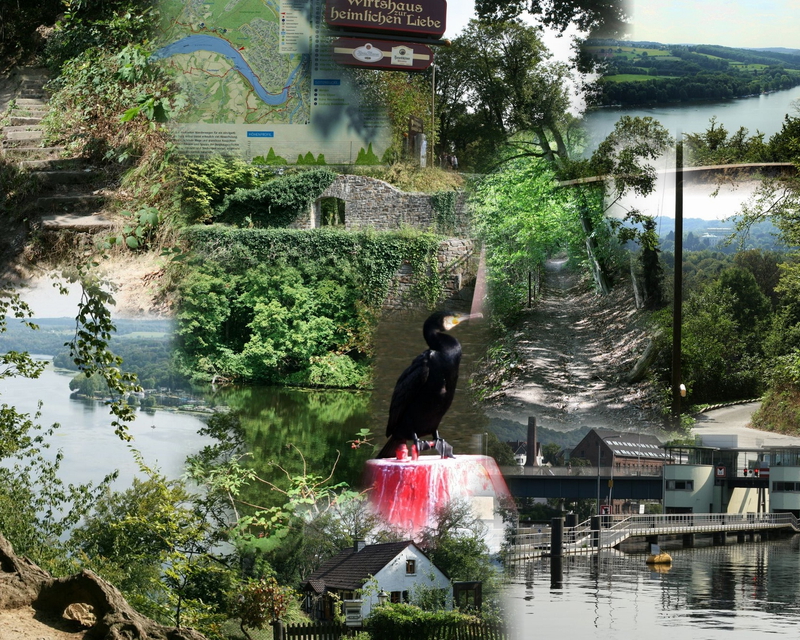 00.Collage